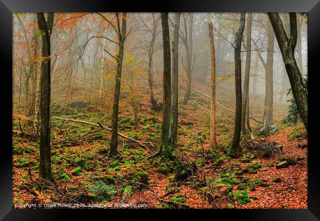 Forest of Dean Autumn Framed Print by Diana Mower