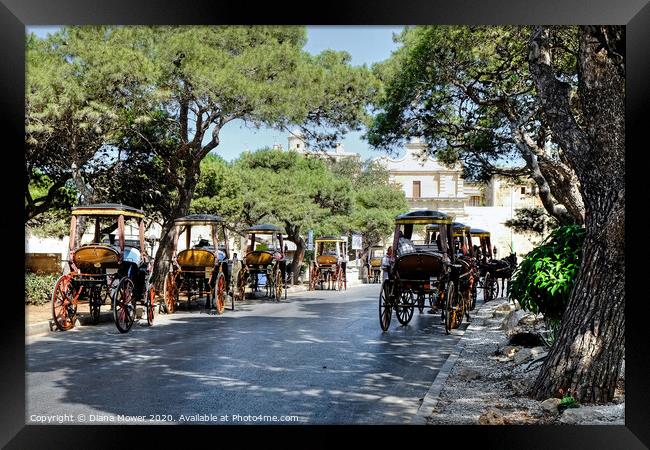 Maltese Karozzins Mdina Malta Framed Print by Diana Mower