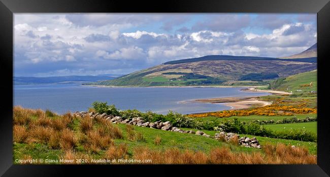 The Isle of Arran  in Spring  Framed Print by Diana Mower