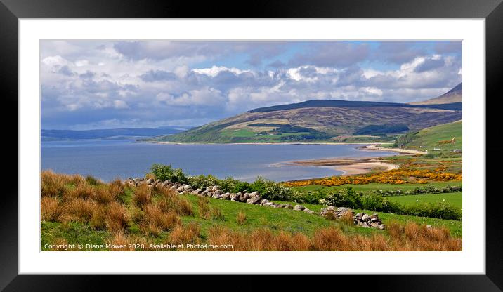 The Isle of Arran  in Spring  Framed Mounted Print by Diana Mower