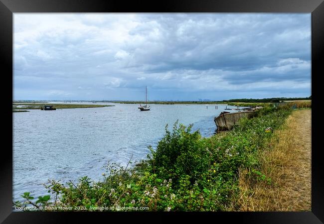 The Walton Backwaters Essex Framed Print by Diana Mower