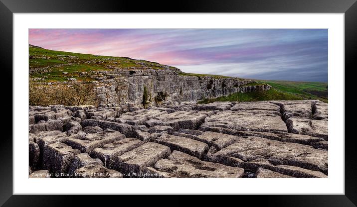 Limestone pavement Malham Cove Yorkshire Dales Framed Mounted Print by Diana Mower
