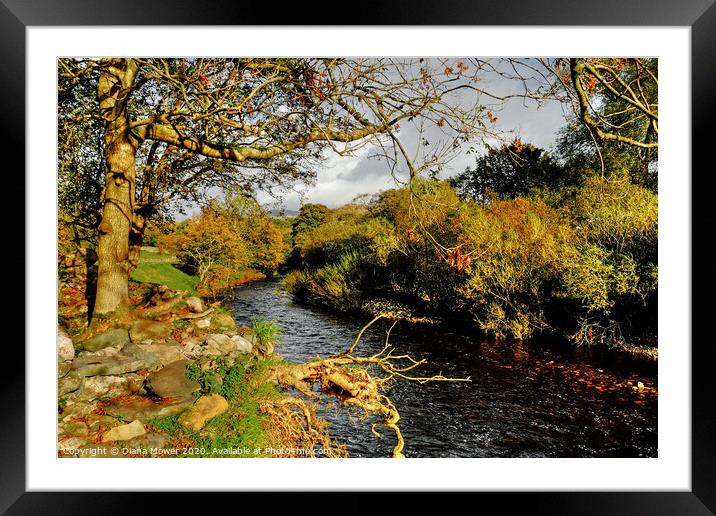 The River Greta at Ingleton Yorkshire Framed Mounted Print by Diana Mower