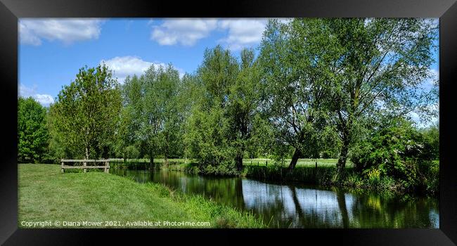  The River Stour at Dedham Framed Print by Diana Mower