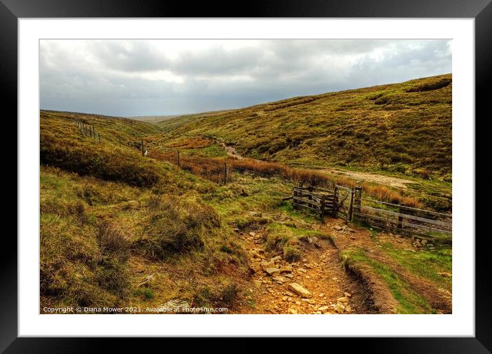 Footpath to Pendle Hill Summit  Framed Mounted Print by Diana Mower