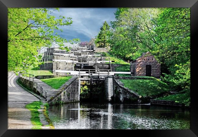 Five Rise Locks Bingley Yorkshire Framed Print by Diana Mower