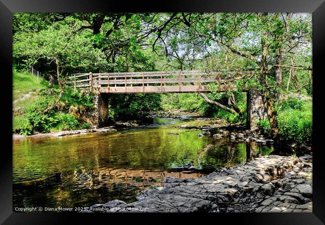 Footbridge over the River Mellte on the Waterfall  Framed Print by Diana Mower