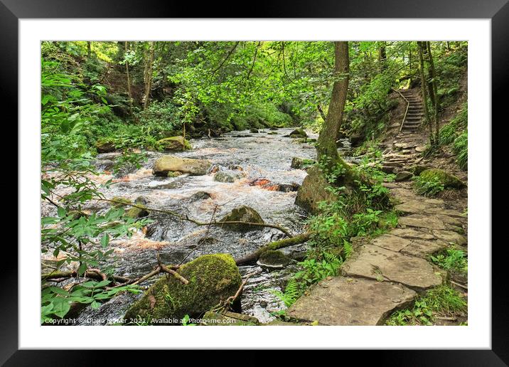 River walk near Hardcastle Crags Framed Mounted Print by Diana Mower
