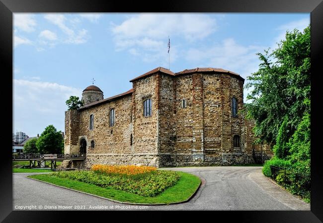 Colchester Castle Essex Framed Print by Diana Mower