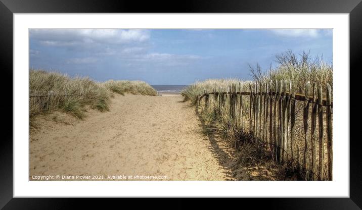 The path to the beach  at Mablethorpe Framed Mounted Print by Diana Mower