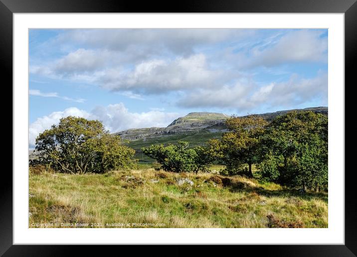 Yorkshire Dales view  Ingleborough Peak Framed Mounted Print by Diana Mower