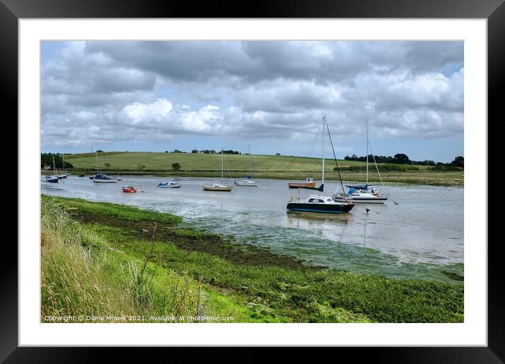 Holbrook Creek Suffolk Framed Mounted Print by Diana Mower