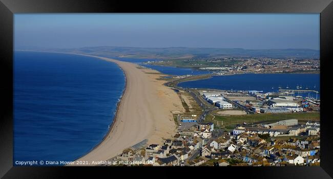 Chesil Beach Dorset Panoramic Framed Print by Diana Mower