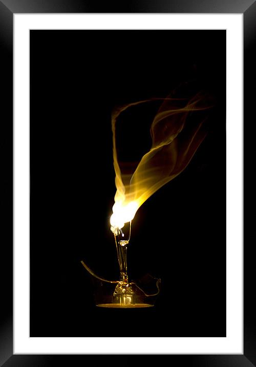 Blown Bulb Framed Mounted Print by Shane Lewis