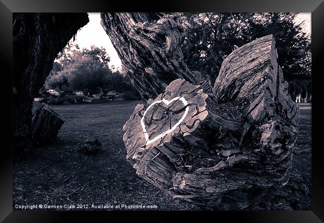 Loving Tree Framed Print by Carmen Clark