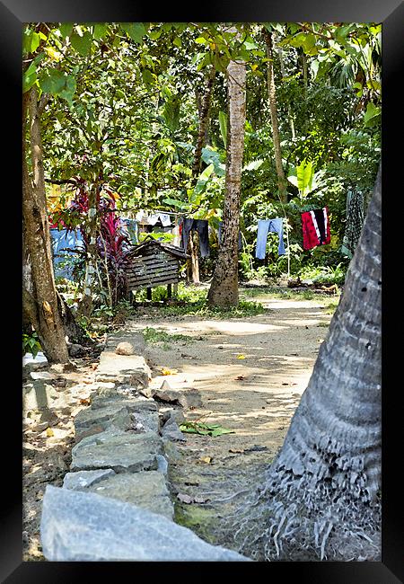 Washing line in Kerala Glades Framed Print by Arfabita  