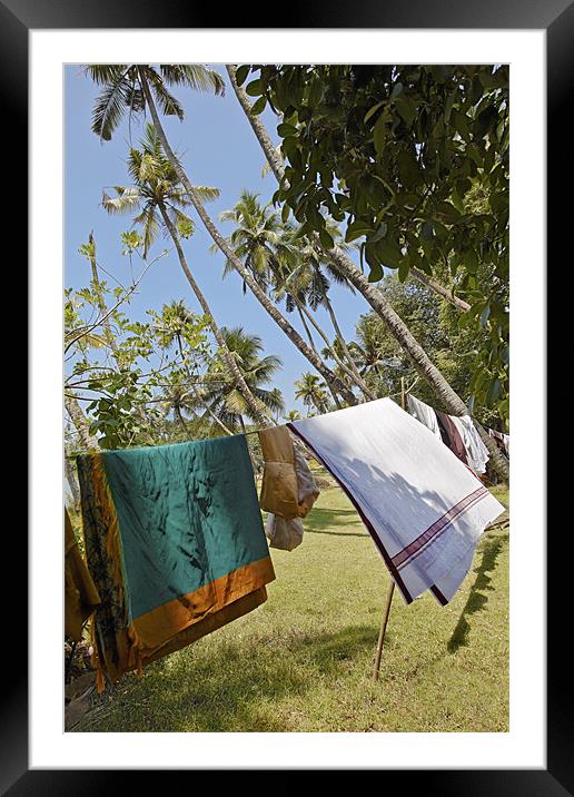 Clothes washing line in Kerala Jungle Framed Mounted Print by Arfabita  