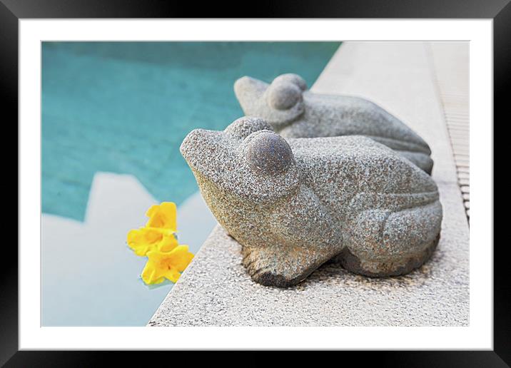 West facing stone frogs by poolside Framed Mounted Print by Arfabita  