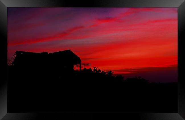 Tree Top Tent under Sunset Framed Print by Arfabita  