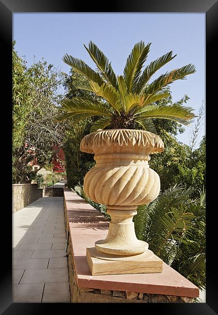 Plant linned garden path ornate stone flower pot Framed Print by Arfabita  