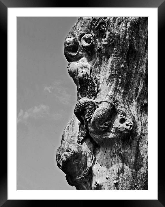 Profile of faces in the Tree Framed Mounted Print by Arfabita  