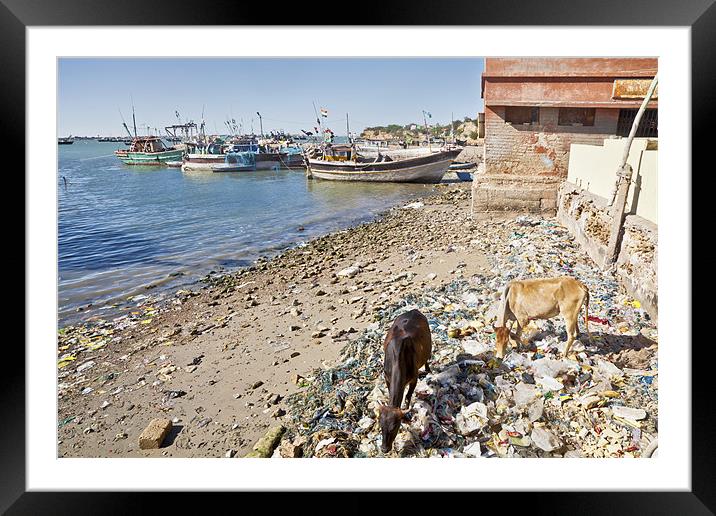 Holy Cow seaside dinning in India Framed Mounted Print by Arfabita  