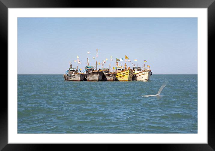 Line up of Fishing boats Gull checks in Framed Mounted Print by Arfabita  