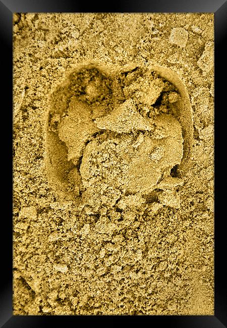 Hoof print in the sand Framed Print by Arfabita  