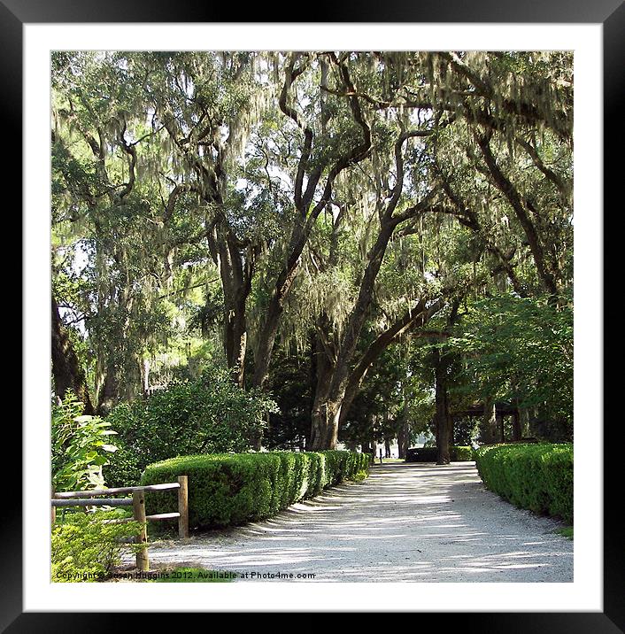 The Road to Eden Framed Mounted Print by Susan Medeiros
