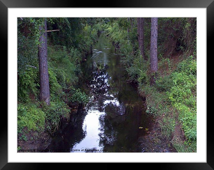 Painted Bayou Framed Mounted Print by Susan Medeiros