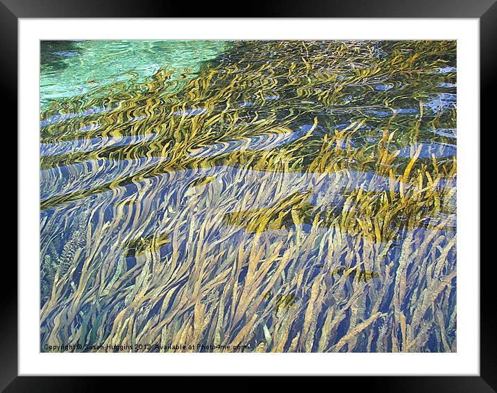 Wetland Auquifer Framed Mounted Print by Susan Medeiros