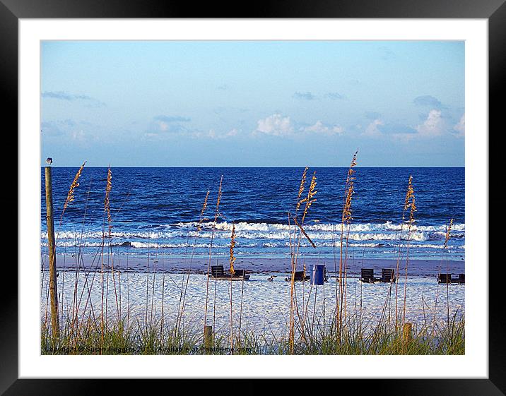 Sapphire Ocean View Framed Mounted Print by Susan Medeiros