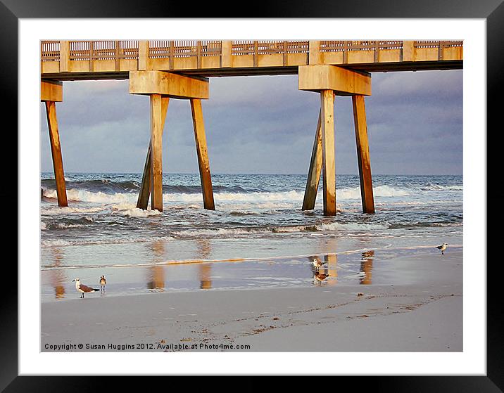 Gulls Musing in Reflections Framed Mounted Print by Susan Medeiros