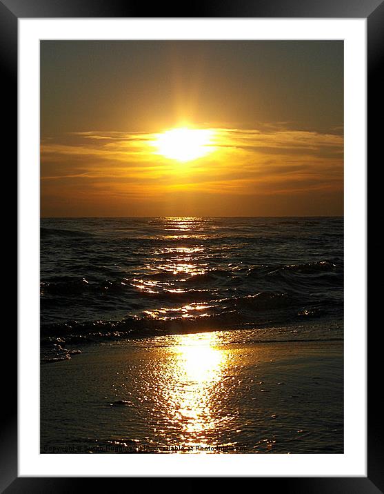 Sparkling End Of Day Framed Mounted Print by Susan Medeiros