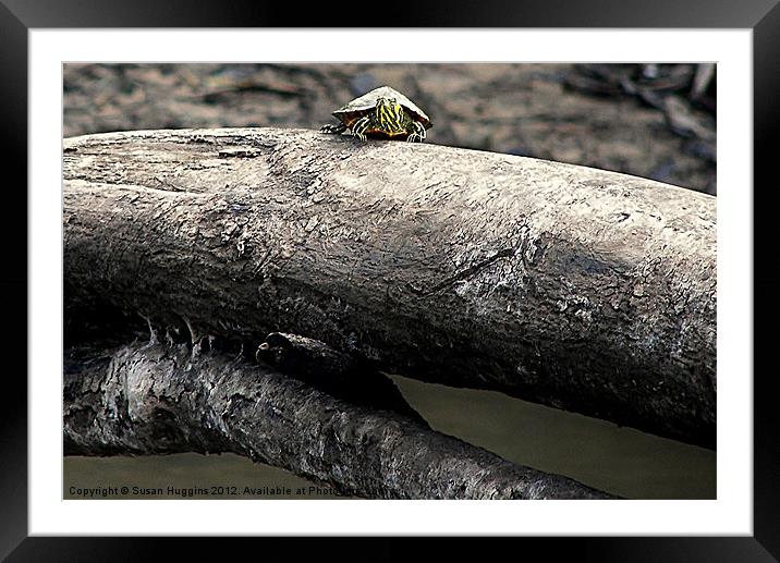 Hanging Out On the River Framed Mounted Print by Susan Medeiros