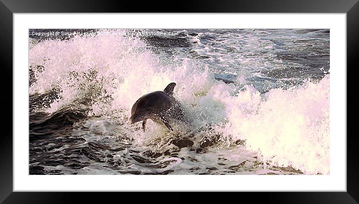 Come Play With Me Framed Mounted Print by Susan Medeiros