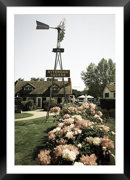 Windmill and a rose garden Framed Mounted Print by Panas Wiwatpanachat