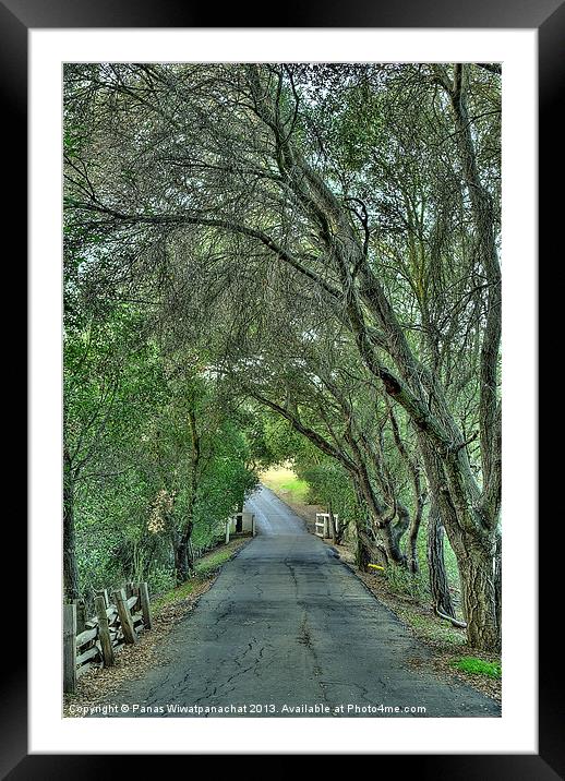 Tree Tunnel Framed Mounted Print by Panas Wiwatpanachat