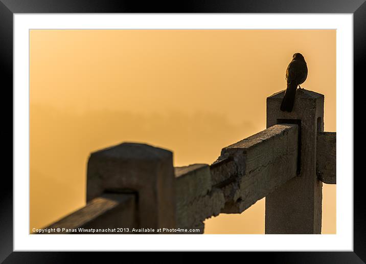 Bird on Fence Framed Mounted Print by Panas Wiwatpanachat