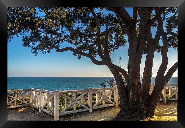 Palisade Park (Horizontal) Framed Print by Panas Wiwatpanachat