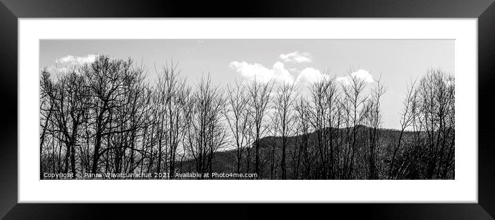 Row of Trees Framed Mounted Print by Panas Wiwatpanachat