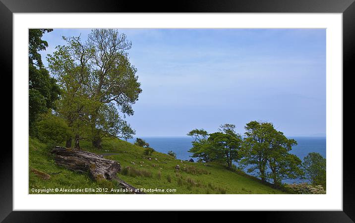 Hillside by Murlough Bay Framed Mounted Print by Alexander Ellis
