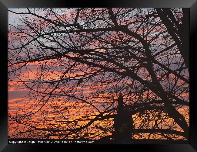 Red Sunset Framed Print by Leigh Taylor