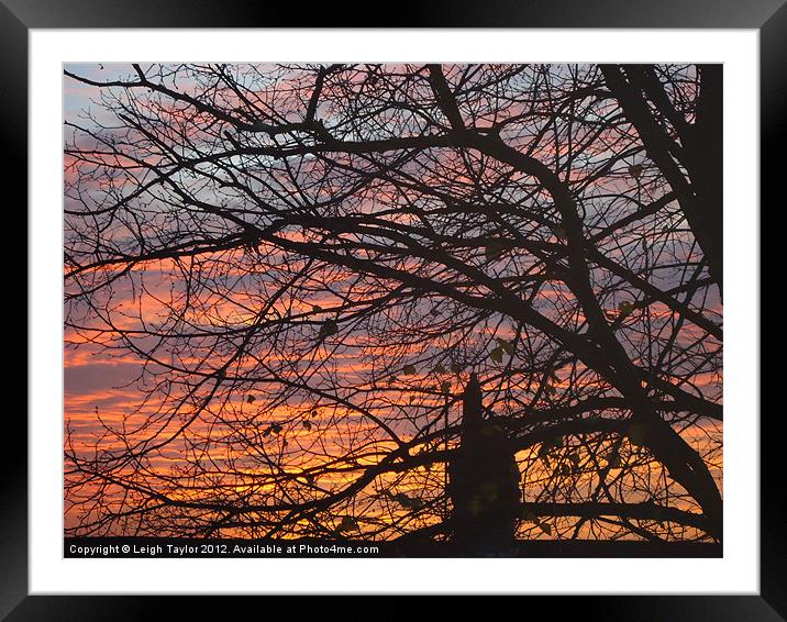 Red Sunset Framed Mounted Print by Leigh Taylor