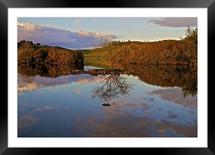 Water Reflecting Tree Framed Mounted Print by Paul Kyprianou