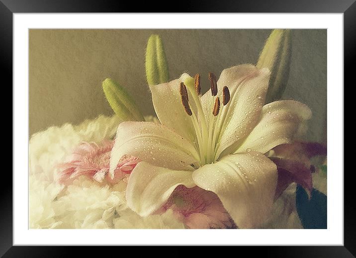 Beautiful Lilly. Framed Mounted Print by Louise Wagstaff