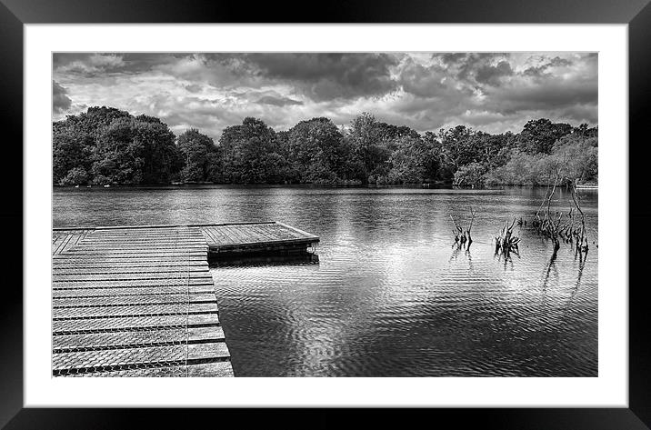 Across The Pond. Framed Mounted Print by Louise Wagstaff