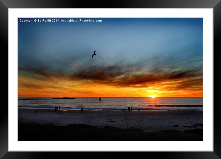 Watchers of the Sky Framed Mounted Print by Ed Pettitt