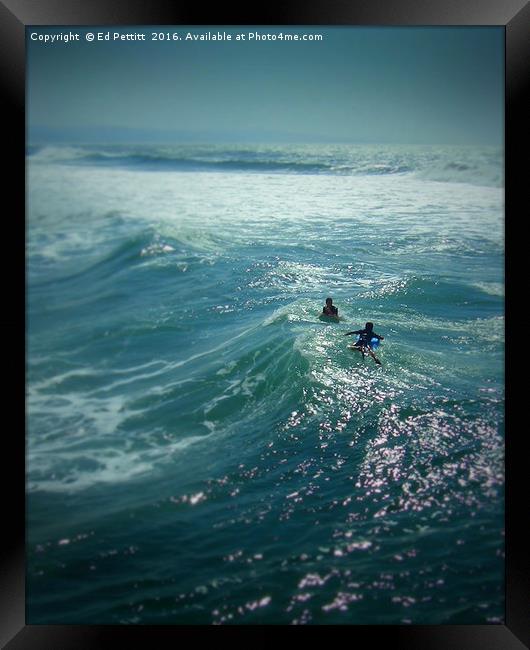 South African Surfers Framed Print by Ed Pettitt