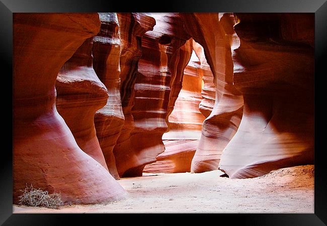 Antelope Canyon Framed Print by World Images